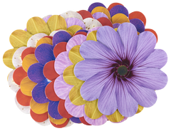 Take-Home Weaving Flowers - 12 pc