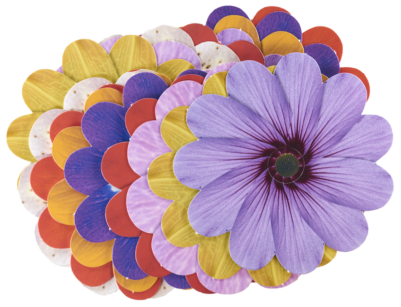 Take-Home Weaving Flowers - 12 pc