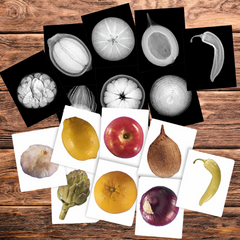 Plant X-rays - 84 pc