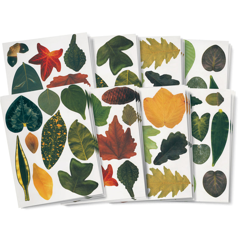 Crafty Leaves - 266 pc