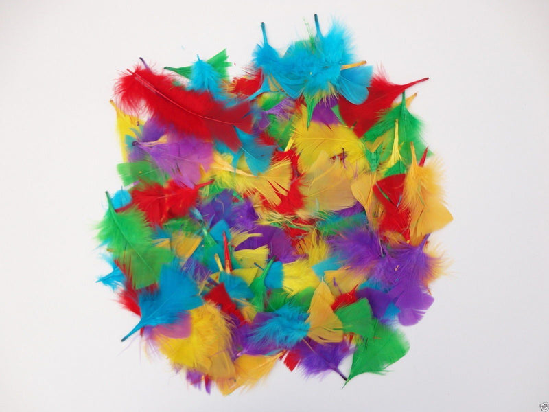 Feathers Assorted Colors - 8g