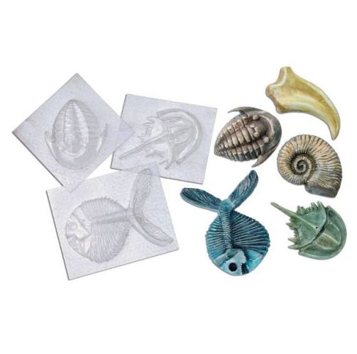Fossil Molds - 5 pc