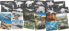 Discover Dinosaurs Picture Cards and X-rays