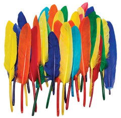 Duck Quill Feathers - Assorted Colors - 27 pc