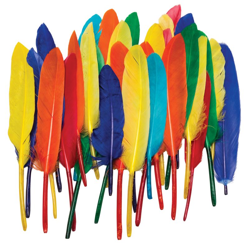 Duck Quill Feathers - Assorted Colors - 27 pc
